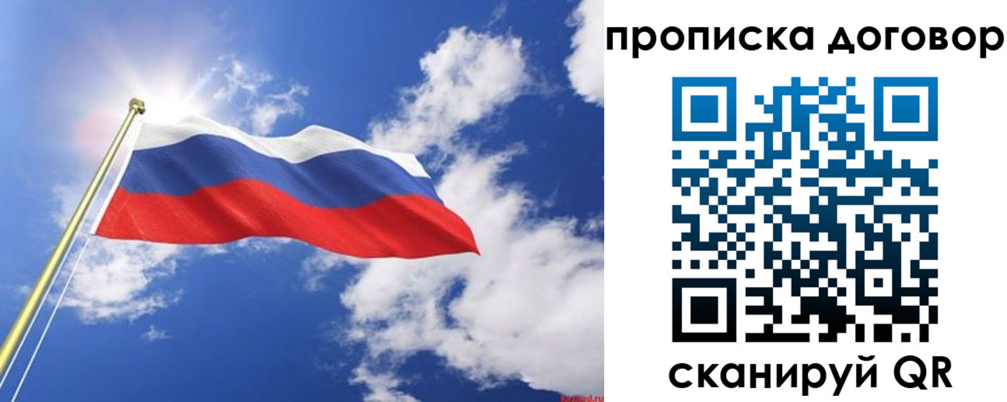 прописка гарантия в Александрове